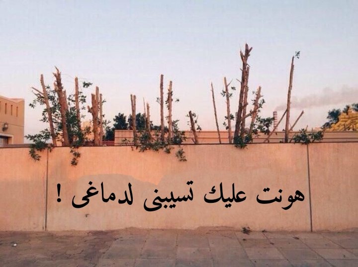 هونت عليك تسيبنى لدماغى !