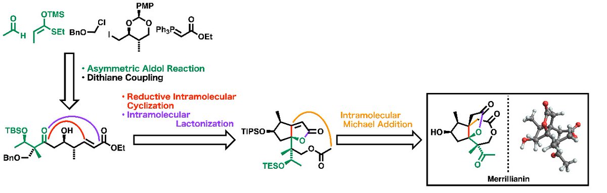 Prof. Isamu Shiina, Dr. Takatsugu Murata, and co-workers at #TUS reported the first #TotalSynthesis of (‒)-merrillianin, which has potential #AntiRheumatic activity, in @JOC_OL. Their #interview was published in #TheScienceNews on March 8, 2024. 

Read more: