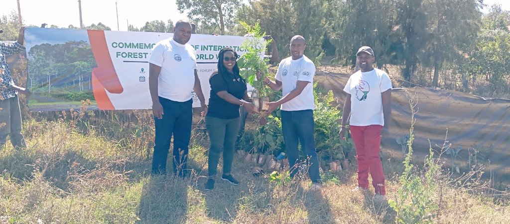 Preparations at high gear by KPCG  @MtKenyaNetwork1 ready to commemorate International Forest Day and World Water Day in Mt Kenya- Nanyuki. The theme for the day is Forest Innovation and Water for peace for sustainable development.