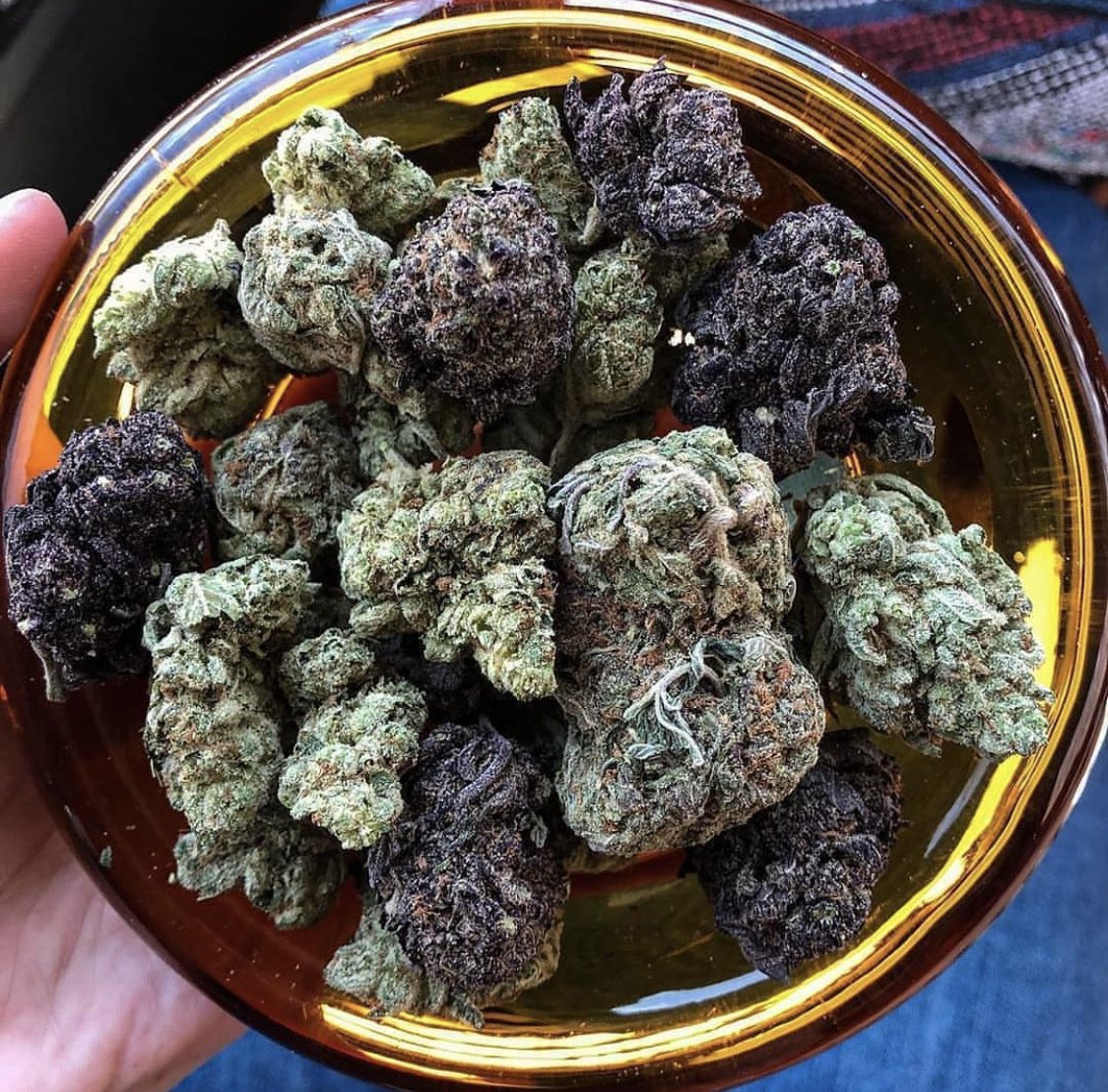 _StonersRUs_'s tweet photo. Who’s smoking weed today? 💨

#StonerFam #Mmemberville https://t.co/xfpYTJsD0J