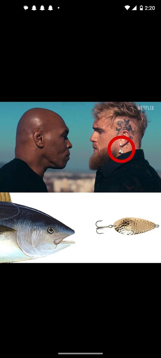 OfficialLBO tweet media