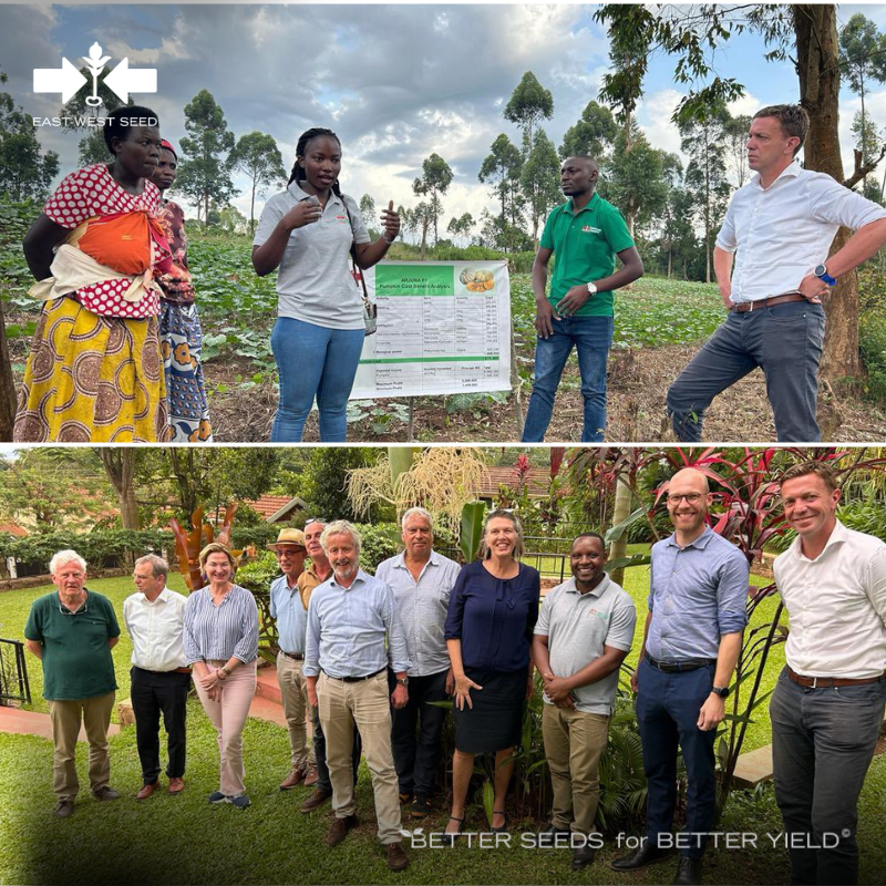 The @NLinUganda with Amb. @Karin_Boven paid a visit to pumpkin farms that received training from East-West Seed Knowledge Transfer. In 2019, East-West Seed founder Simon N. Groot dedicated the majority of his World Food Prize prize money to the “Pumpkin Project”.