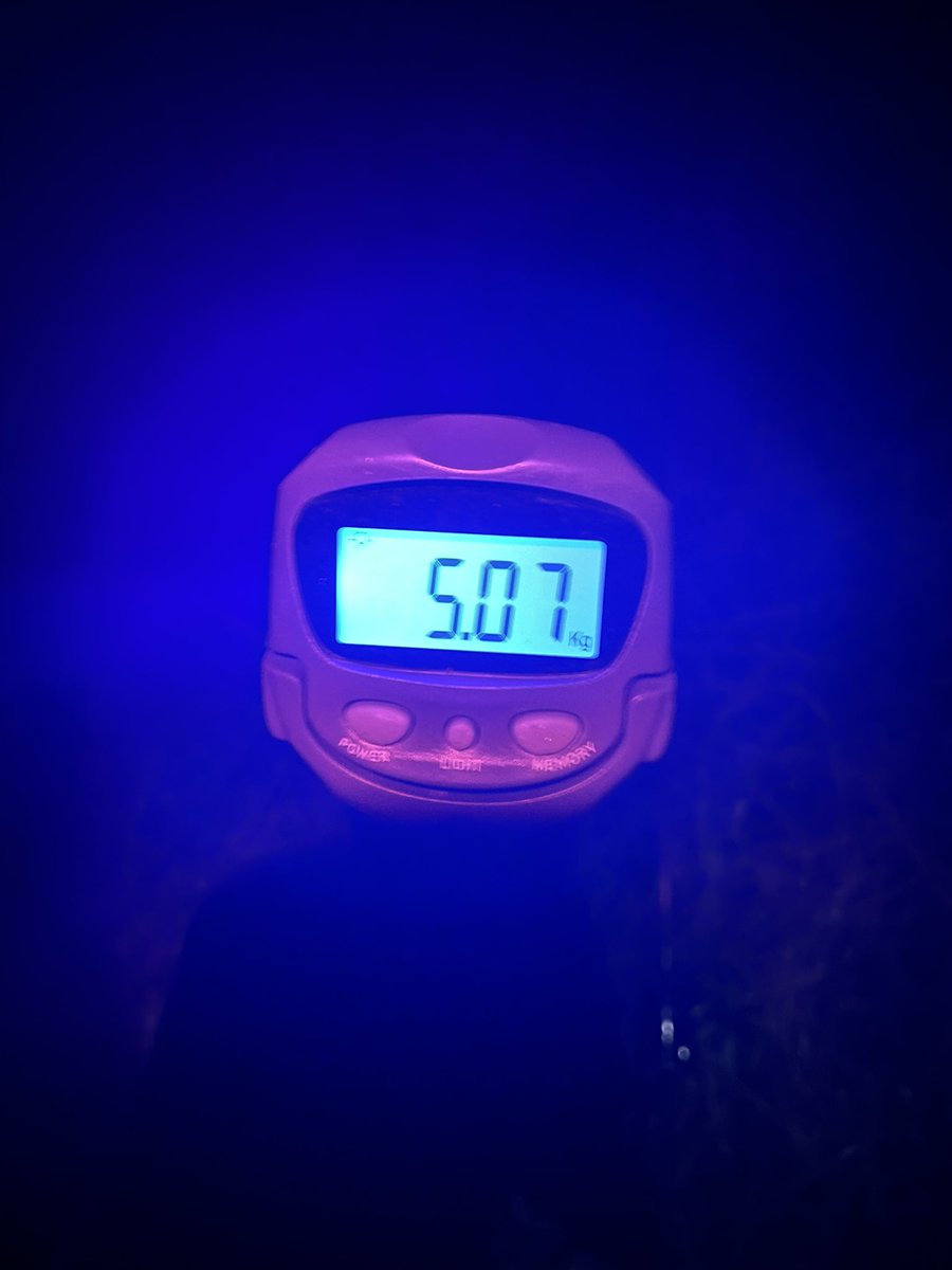 McYasiro's tweet photo. まさかの連週記録更新😭
浮いてきた時点で極太体型だったので、ランディング震えてました笑
プロヴィのボトム外す感じが使いやすい👍
#BP
#YASHIROCONFIDENCE
#プロヴィデンス
#スピードシャッド
#レグロンワールドプレミアム https://t.co/k8XTqDCZt0