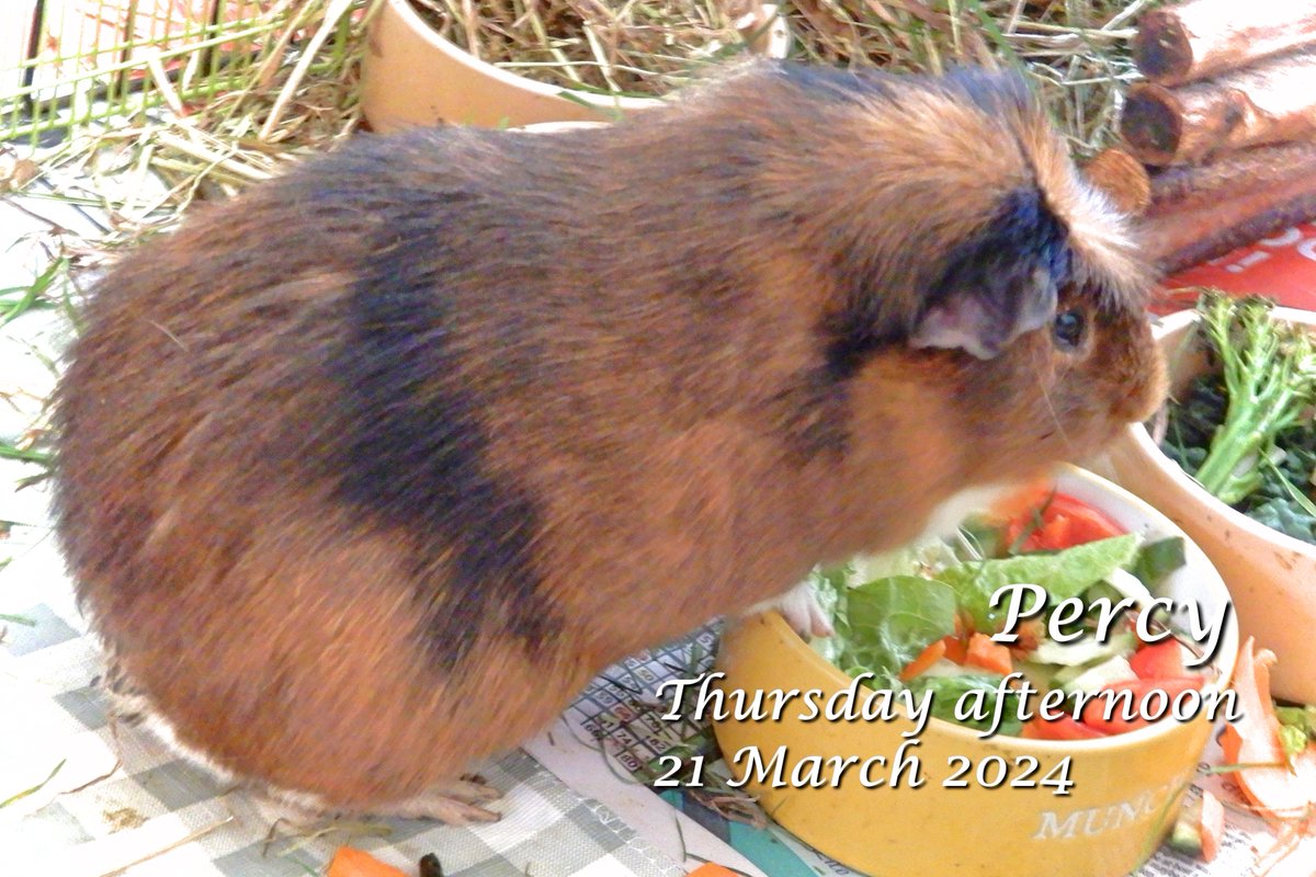 Peter Walker tweet media