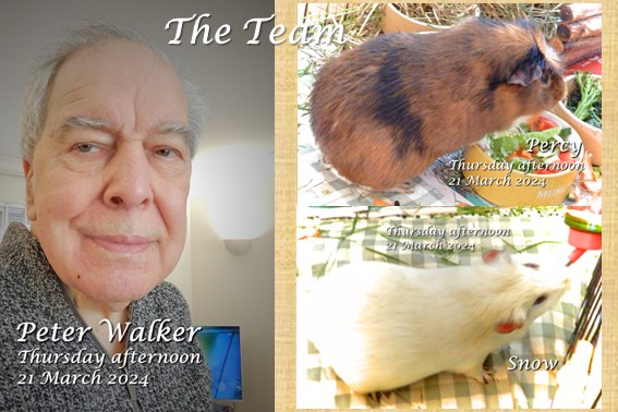 Peter Walker tweet media