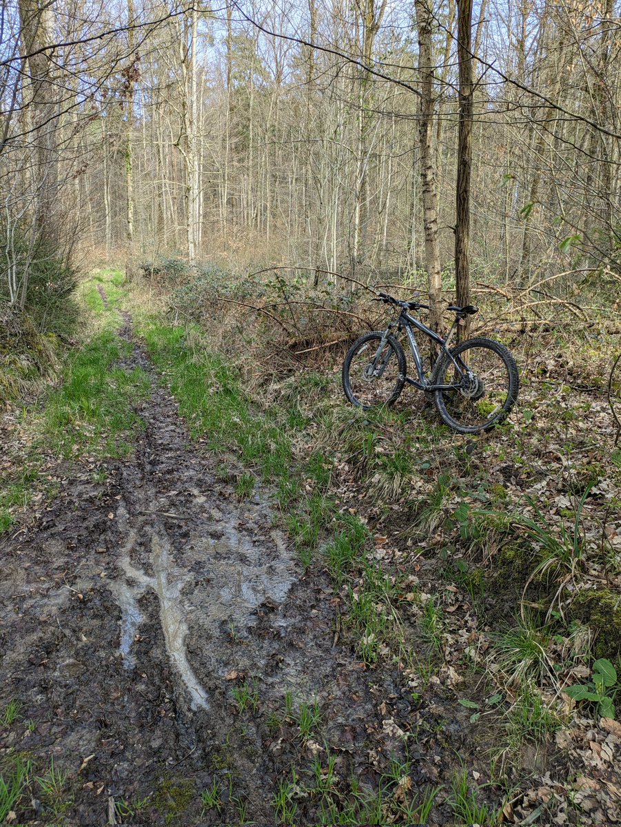 Julian Klaus (@hydrojulian) on Twitter photo Mapping surface saturation. Happy #WorldWaterDay #ride2hydrology Mapping surface saturation. Happy #WorldWaterDay #ride2hydrology