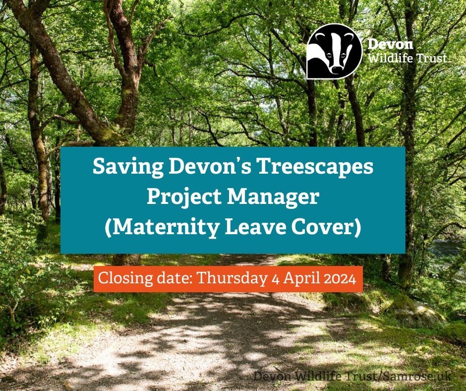 We're hiring! 

DWT is looking for a passionate, organised project manager to lead the #SaveDevonsTrees project. From surveys to tree nurseries, you'll be leading a skilled team to help protect Devon's stunning treescapes. More here 👉 buff.ly/3xcuBDE

#ConservationJobs