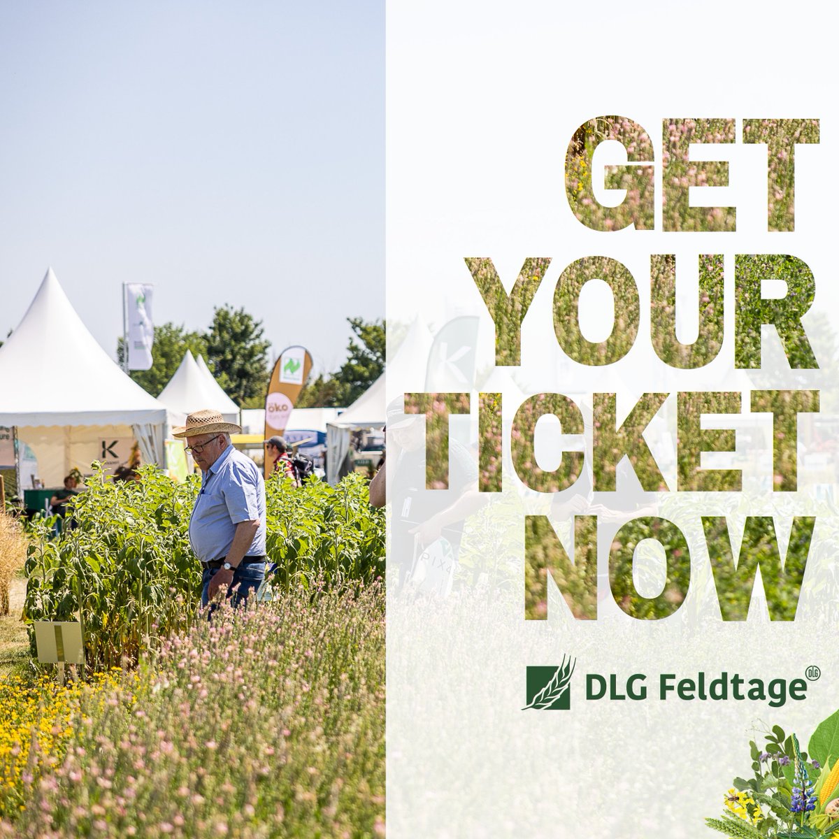Der Ticketshop für die DLG-#Feldtage 2024 ist geöffnet! Sichern Sie sich jetzt online Ihre Tickets und seien Sie dabei, wenn die #DLG-Feldtage unter dem Motto „#Pflanzenbau out of the box“ vom 11. bis 13. Juni 2024 bei Erwitte/Lippstadt ihre Tore öffnen: dlg-feldtage.de