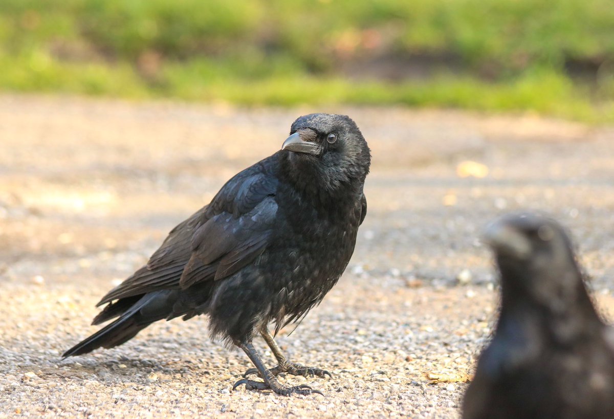 “You can crop them out, can’t you?”