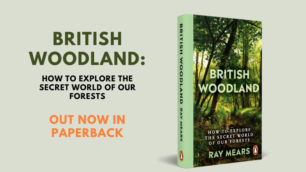 British Woodland is now available in paperback. Order your signed copy today: bit.ly/3IJrm9r #britishwoodland #raymears #bushcraft #paperback #woodlore