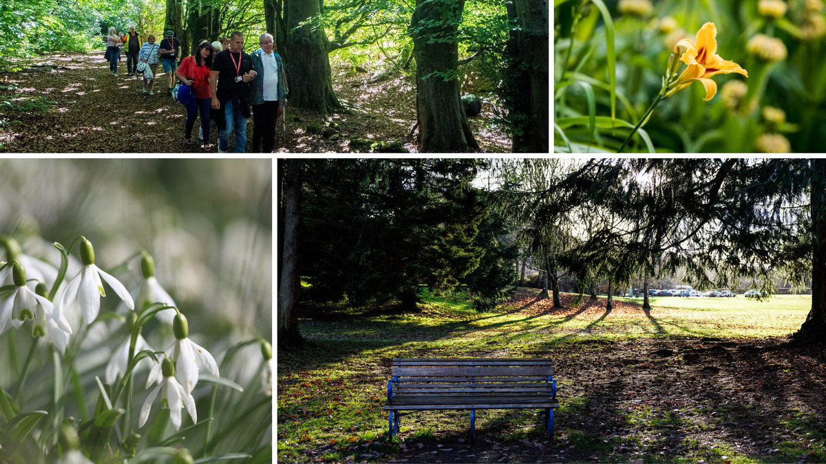 Walking Scotland tweet media