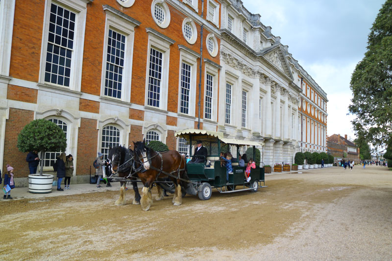 Next Friday the #ShireHorse carriage rides will be returning to #HamptonCourt! If you are visiting the palace don’t miss out on an opportunity to enjoy a relaxing carriage ride through the gardens: hrp.org.uk/hampton-court-…