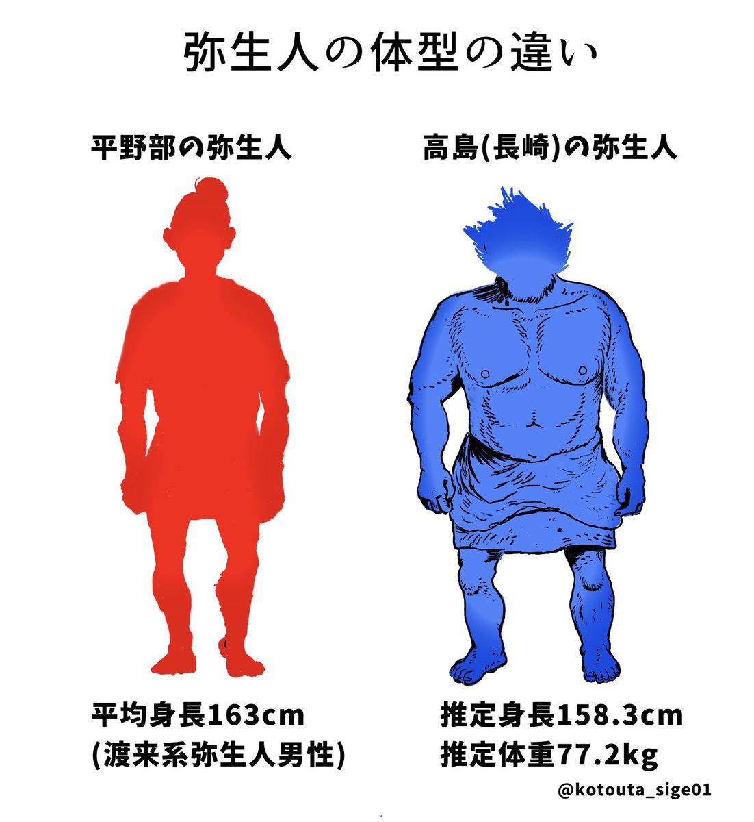 @youken_kig 博学な方々とお見受けしますのでご存知かもしれませんが、旧肥前国(現長崎県)の沿岸部から出る弥生人は異常に骨太筋肉質な体型で、彼らこそが「貝の道」交易の担い手とされます
主に北九州弥生人が貝輪を求め、西北九州弥生人が南に発って南島で現地人から貝を受け取り薩摩の高橋貝塚などに寄港→