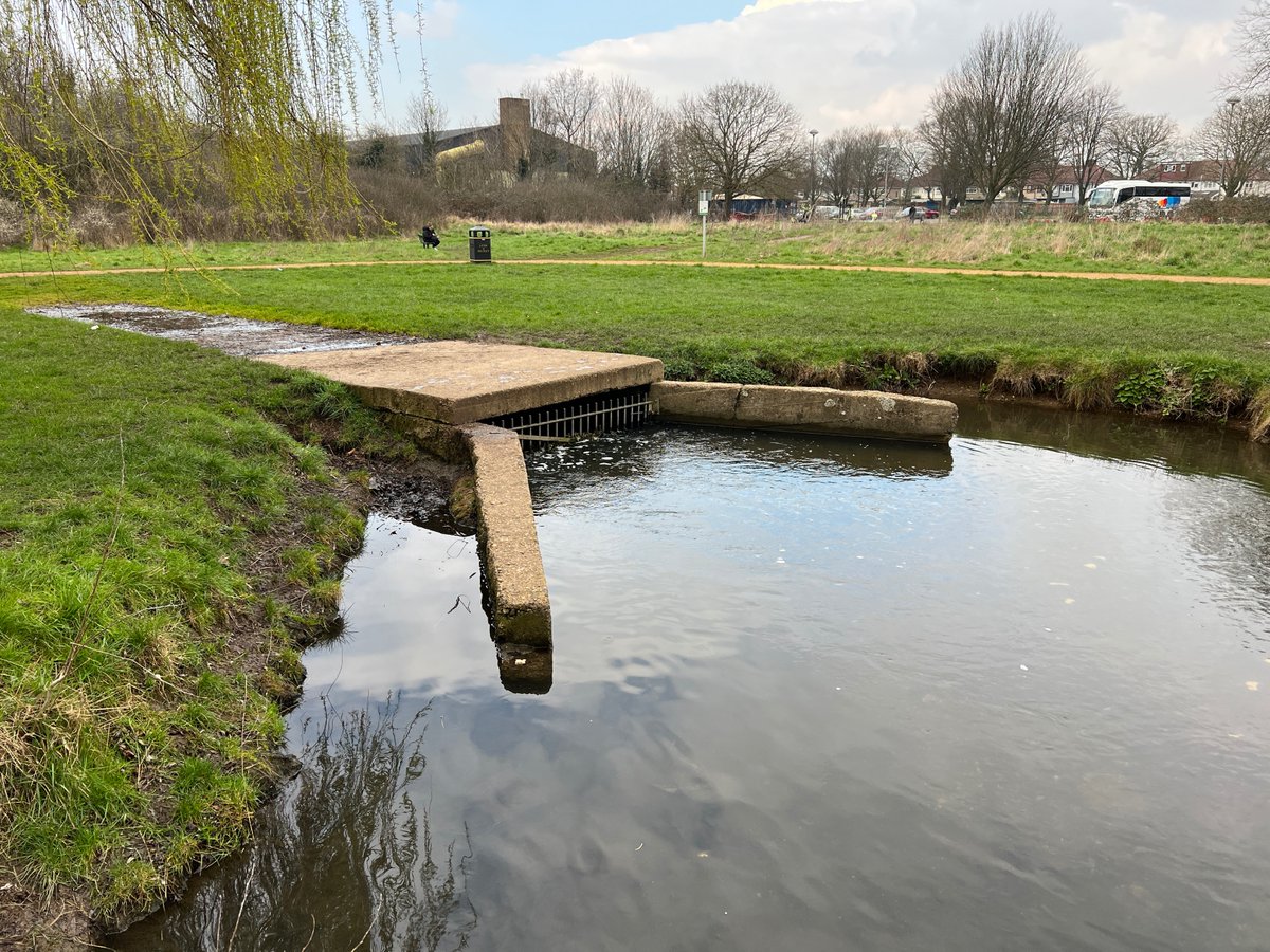 #virtualtour of the Crane Valley: Longford River, where it emerges from a culverted section in Hanworth Park @LBofHounslow, March 2024.
@FriendsRivCrane @habsandheritage @ZSLMarine
@ThamesLandscape