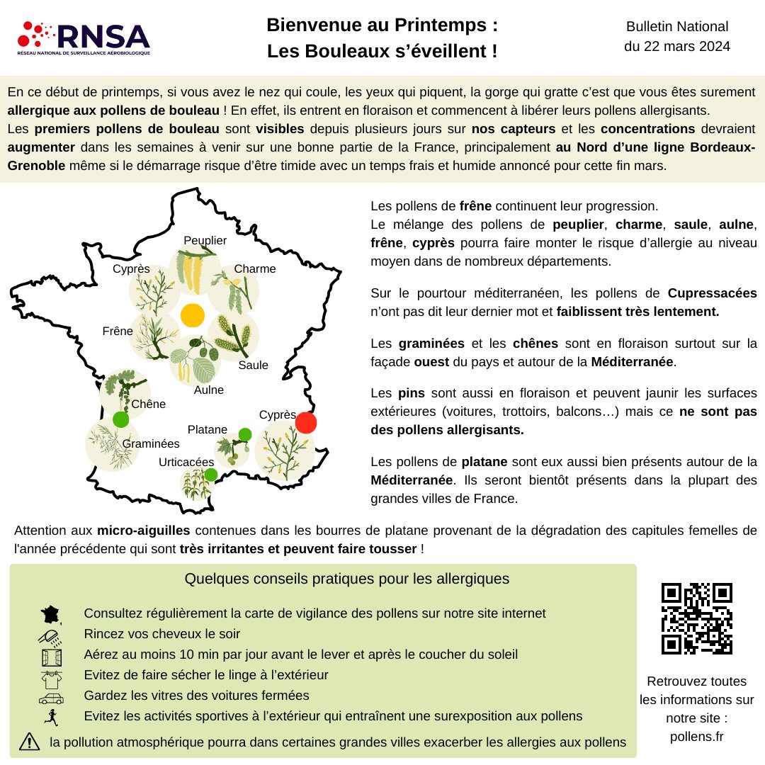 Bulletin allergo-pollinique du 22 mars En ce début de printemps, si vous avez le nez qui coule, les yeux qui piquent, la gorge qui gratte c’est que vous êtes surement allergique aux pollens de bouleau ! Ils entrent en floraison! + d'infos ici : pollens.fr #pollens