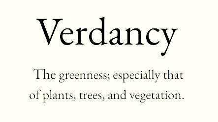 Cian McCarthy tweet media