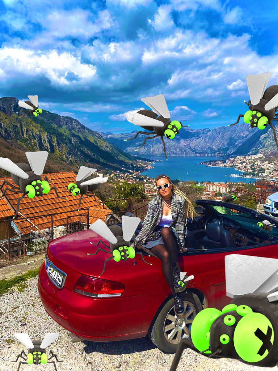 IRA_therabbit's tweet photo. I'm a simple person: I see art - I want it🔥 Yesterday I WON 10 flies from @XCOPYART and @rightclick for my video!😱🪰 couldn't be happier #catlady❌ #flylady✅ https://t.co/JDFK3YgyPc