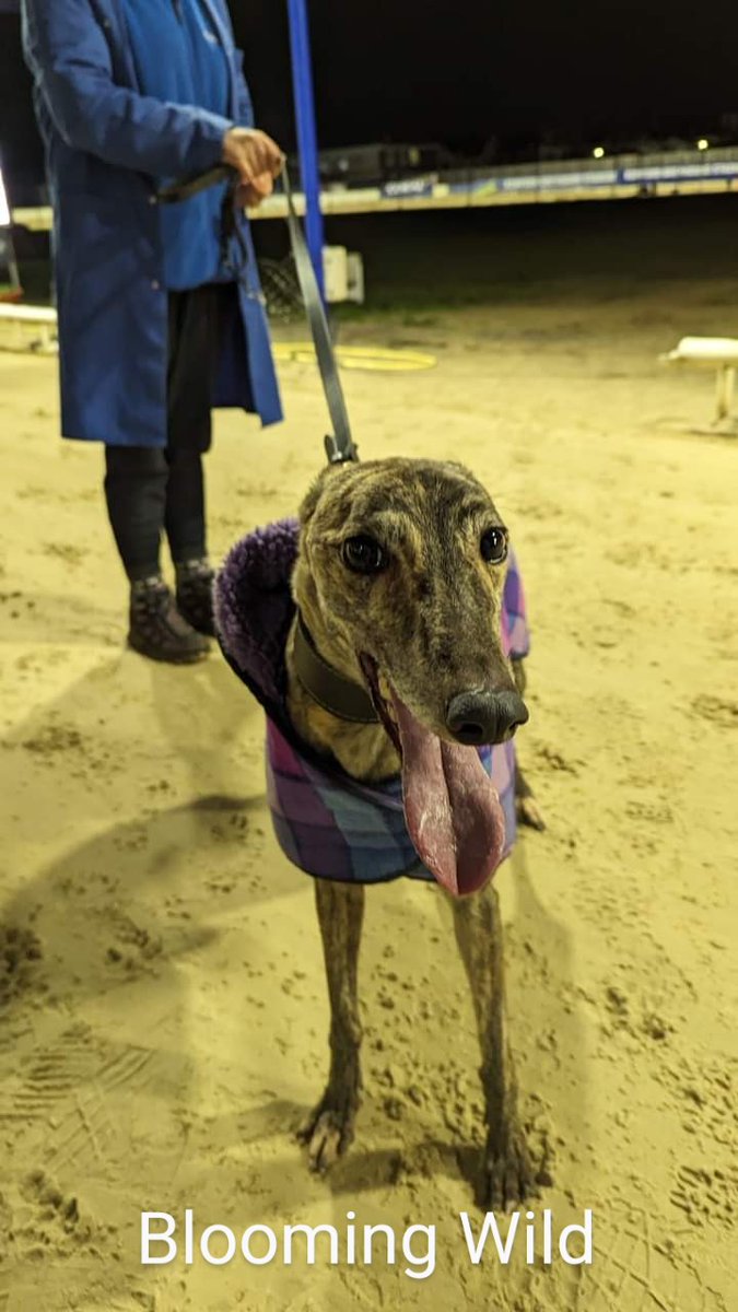 Paul Wing 🏆🏆🏆 🏆🏆🏆 tweet media