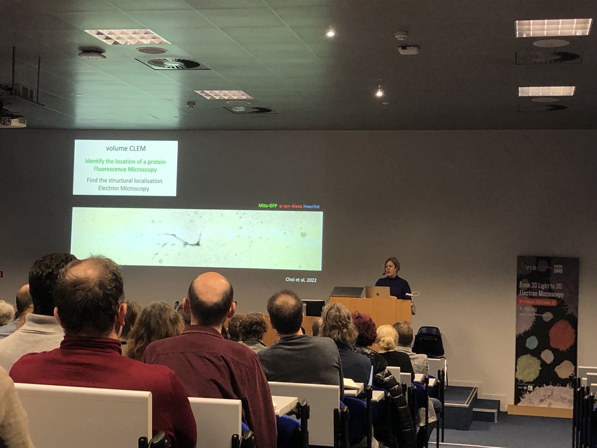 Last talk of the #CLEM24 meeting, with a full room for the talk of ⁦@EM_STP⁩. Few minutes into Lucy’s talk and everyone is already hypnotised by the amazing work presented.