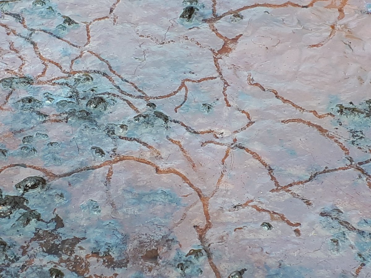 Anne van Kuijk tweet media