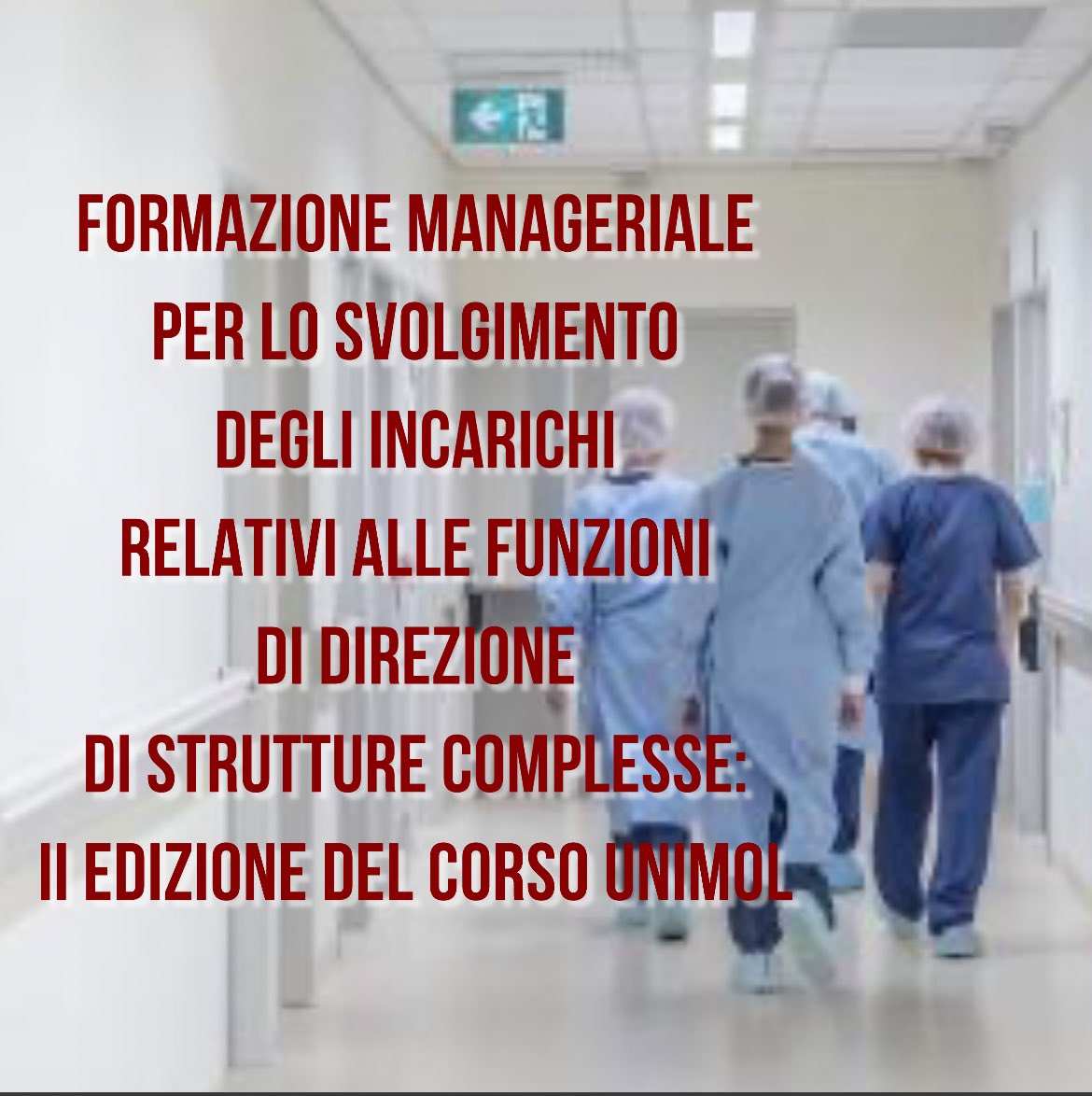 Iscrizioni entro il 31 marzo. Per info scrivi a unimolmanagement@unimol.it