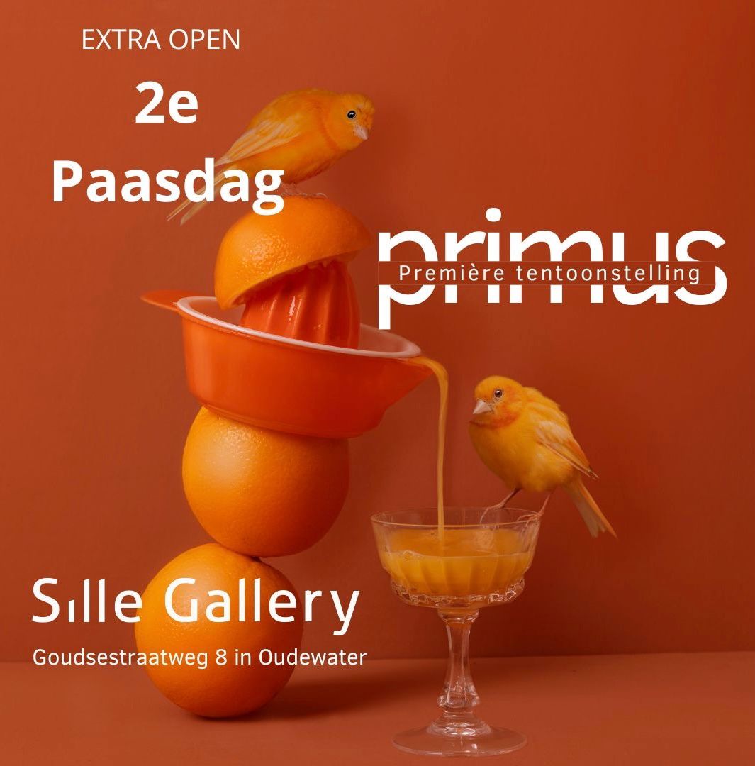 TamaraSille, Gallery tweet media