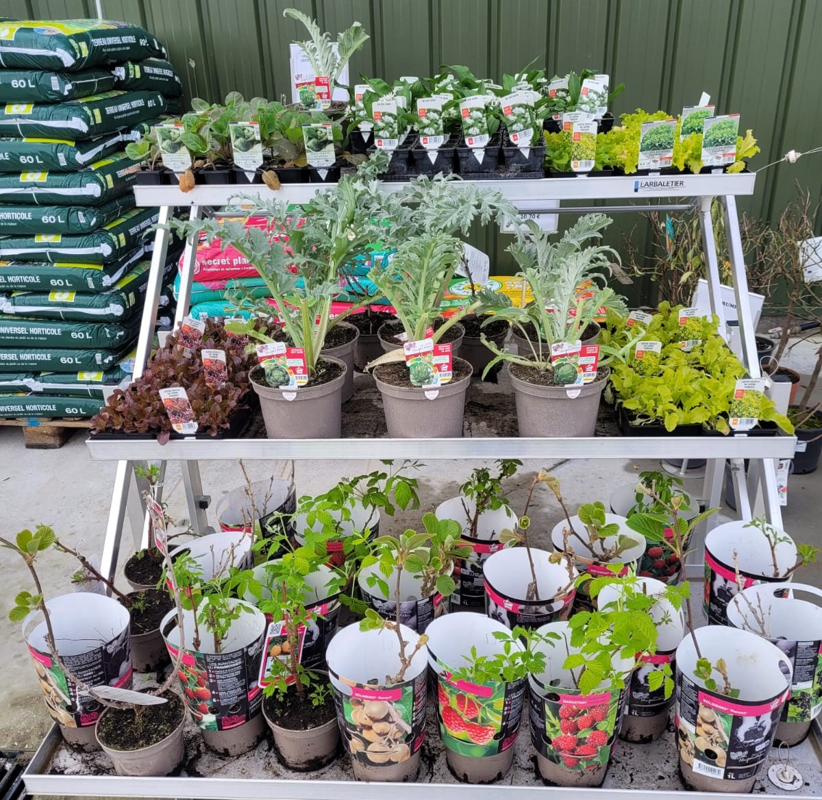 Dumesnil_FR's tweet photo. Les premiers plants de fruits et légumes de saison sont arrivés dans nos magasins France Rurale. 🍓

Et en plus, les fraisiers sont en promotion jusqu'à la fin du mois, c'est le moment d'en profiter ! 😁

#francerurale #plantation #normandie #négoceagricole #printemps2024 #jardin https://t.co/vyld23thQN