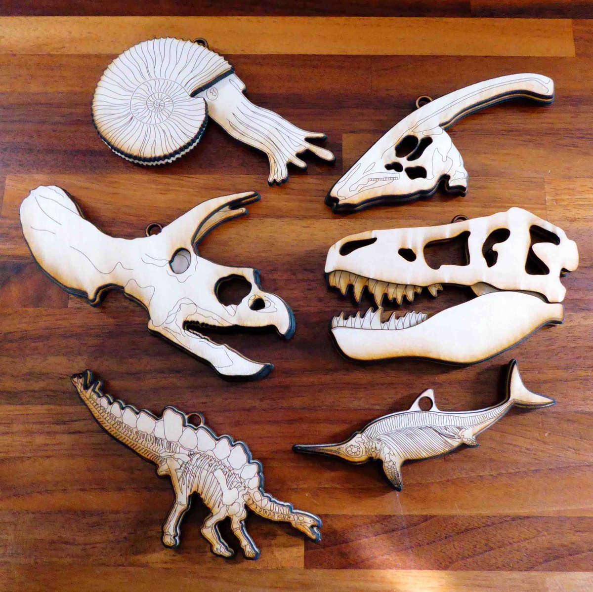 Never too old for dinosaur fossils 🦖🦕 madeonthecanal.etsy.com/listing/170089…