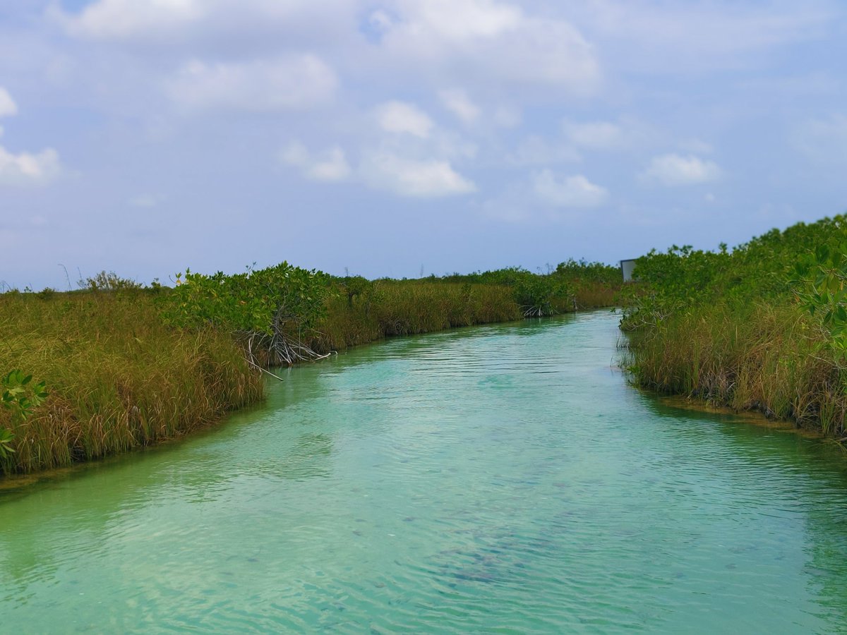 florence_mugi's tweet photo. WHEREVER you are… WHATEVER you are… fresh water is something we simply can’t do without. This World Water Day I’m standing up for the freshwater systems that make life possible. Join me. Learn more: https://t.co/tggOhQ4bPC 

#waterconnects #WorldWaterDay #nature https://t.co/WCBd56ajOe