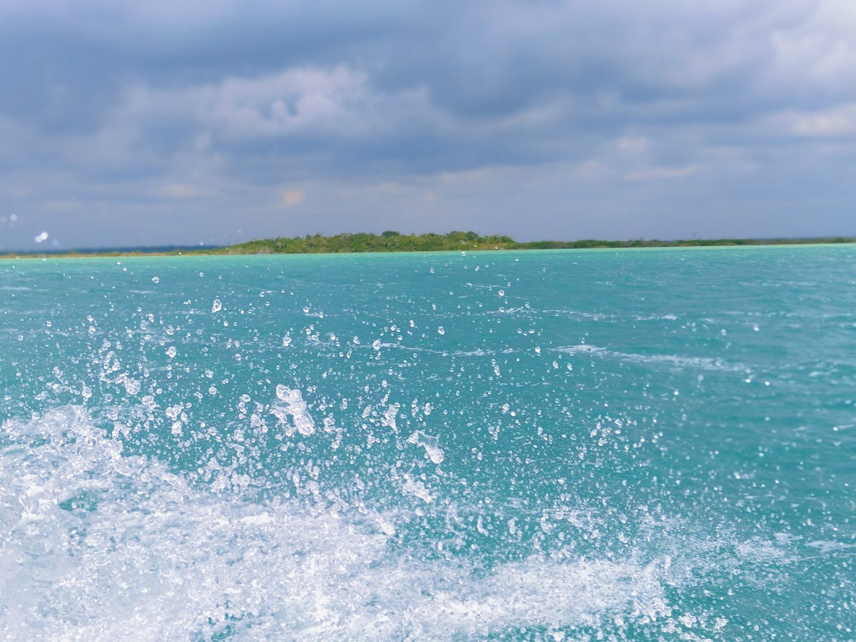florence_mugi's tweet photo. WHEREVER you are… WHATEVER you are… fresh water is something we simply can’t do without. This World Water Day I’m standing up for the freshwater systems that make life possible. Join me. Learn more: https://t.co/tggOhQ4bPC 

#waterconnects #WorldWaterDay #nature https://t.co/WCBd56ajOe