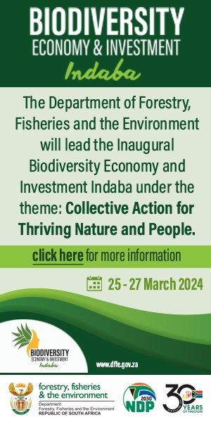 The objectives of the Indaba include, among others, mainstreaming the #Biodiversity Economy imperatives across all 4 goals of the White Paper on conservation and sustainable use of South Africa’s biodiversity, and  addressing poverty, unemployment and inequality. #BEII2024
