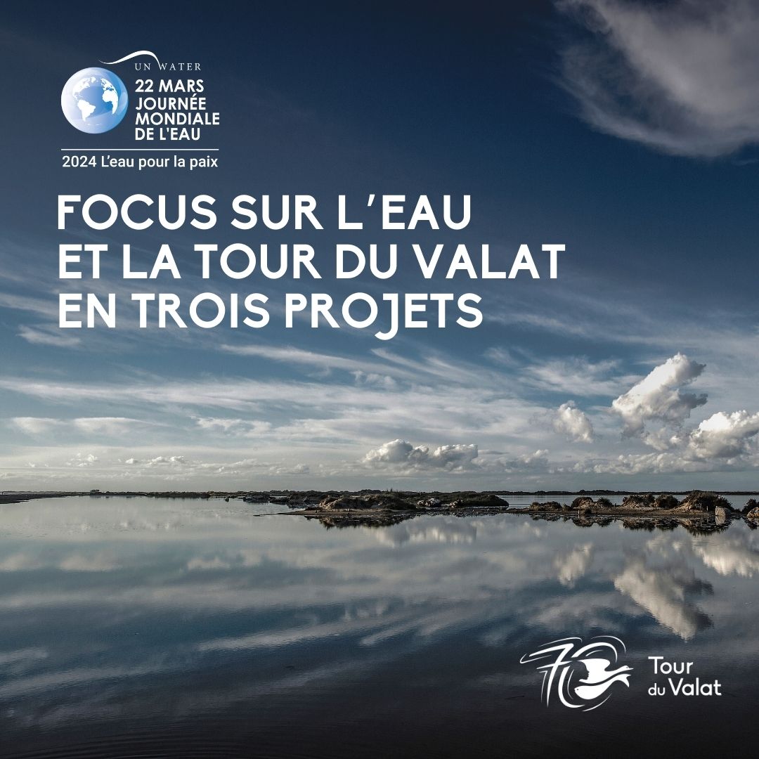 TourduValat's tweet photo. 💧🕊️  Le vendredi 22 mars 2024 est l’occasion de célébrer la Journée Mondiale de #l’Eau. Institué par les Nations Unies, cet évènement annuel est l’occasion d’alerter l’opinion publique mondiale quant aux enjeux liés à cette ressource précieuse. https://t.co/Q8z6AlMl1q