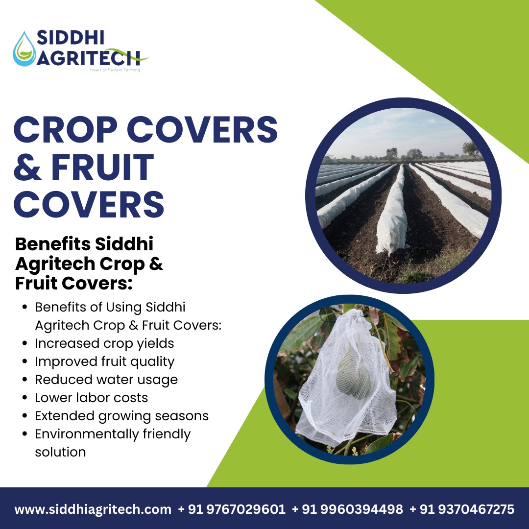 Crop Covers & Fruit Covers 
. 
siddhiagritech.com
+91 9767029601
.
#cropcover #fruitcover #seedlingtrays #drippipes #onlinedrips #inlinedrips #graftingtape #graftingclip #nurserybags #growbags #agriculture #farming #farm #mulchingfilm #plantbased #weedbarrier #igfood