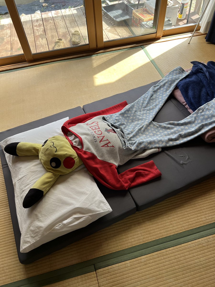 尾道のコロ tweet media