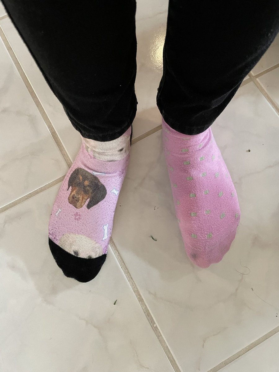 Diana Ree-Reeder tweet media