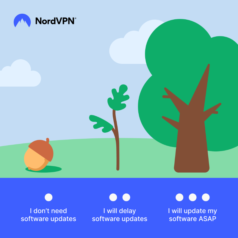 Regular software updates improve online safety. Grow your cybersecurity knowledge with NordVPN.
