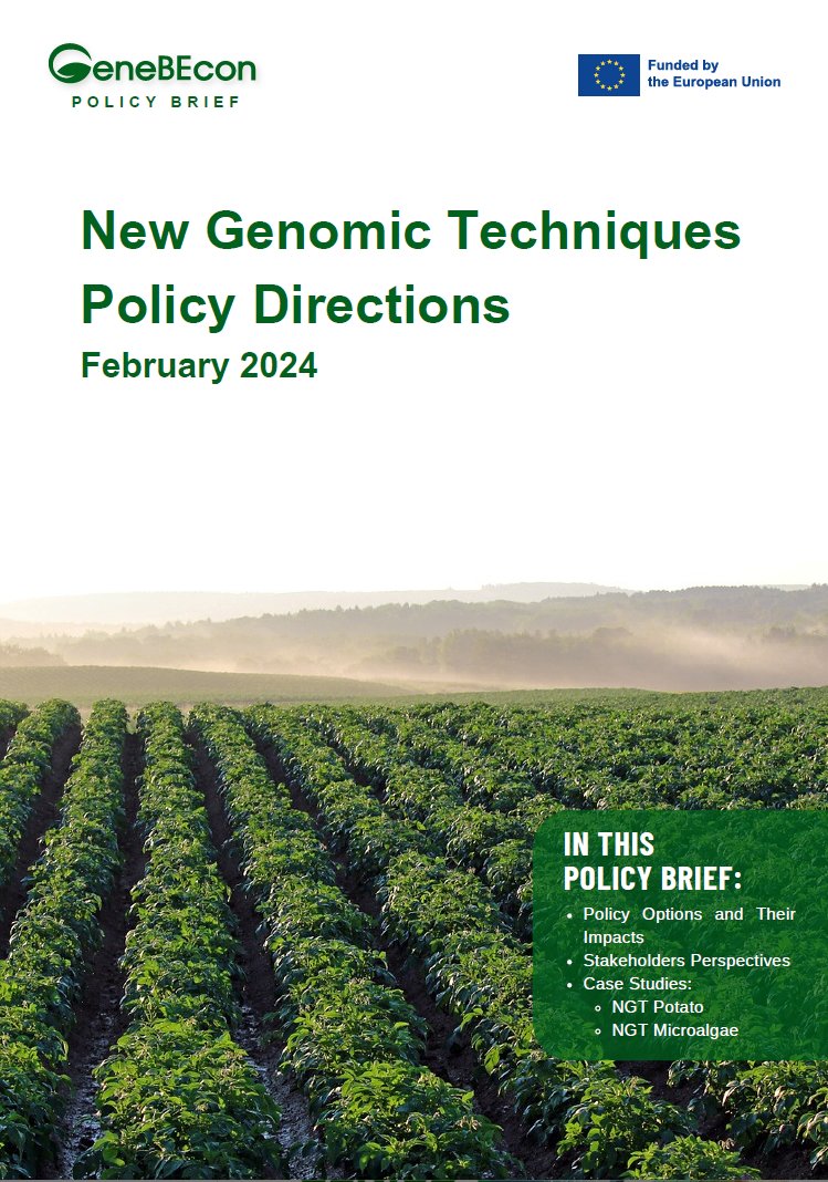 📢📑GeneBEcon has released a policy brief on how #NGT products🌱 should be regulated in the EU🇪🇺, outlining regulatory, technical, social and other relevant aspects pertinent to the ongoing discussions.

Read the policy brief➡️genebecon.eu/2024/03/20/how…

#EUBioeconomy #plantbreeding