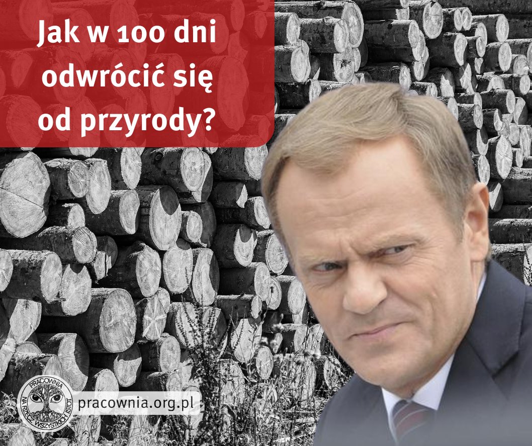 Co zostało z konkretów dla przyrody, które zapowiadał <a href="/donaldtusk/">Donald Tusk</a> i nowa ekipa❓

Były szumne słowa i obietnice lepszej ochrony lasów i miejsc przyrodniczo cennych. W pierwszych stu dniach zaplanowano m.in.:
❌Wyłączenie najcenniejszych przyrodniczo obszarów
