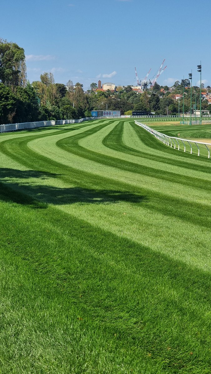 TankardSam's tweet image. 7 meetings in 8 weeks on a 28 year old track.
 95% of meetings in the True to 4m position maxmising field size and turnover! 
Track still performing well but cant wait for this to be the view of the straight in the future! 
#TheValley