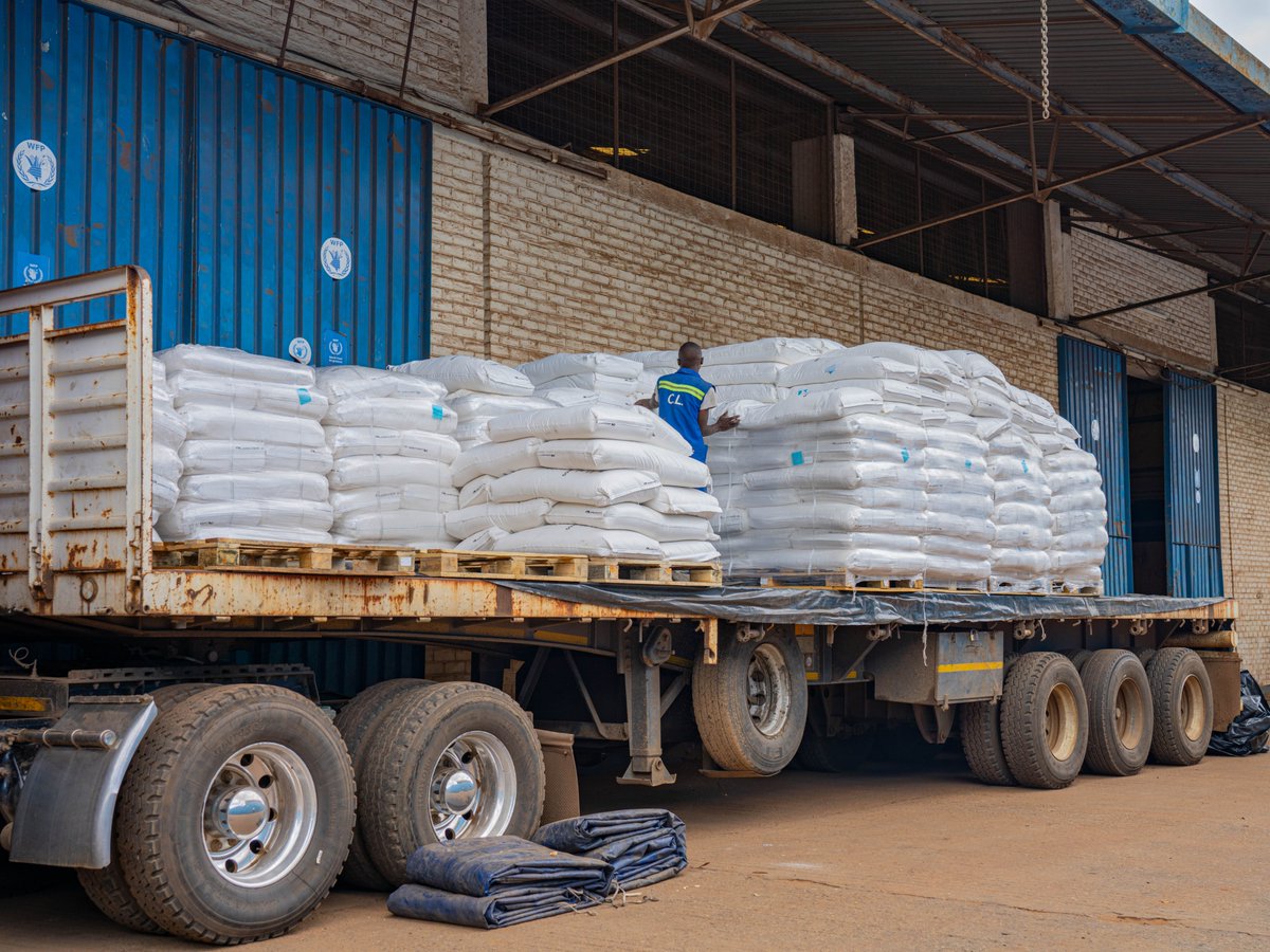 As food security worsens in #Malawi this lean season, @WFP supports the urgent regional procurement & delivery of 23,000 mt of maize flour to meet the Government’s response needs. Thanks to the @WorldBank, this life-saving food will reach 1.7 million people across 12 districts.