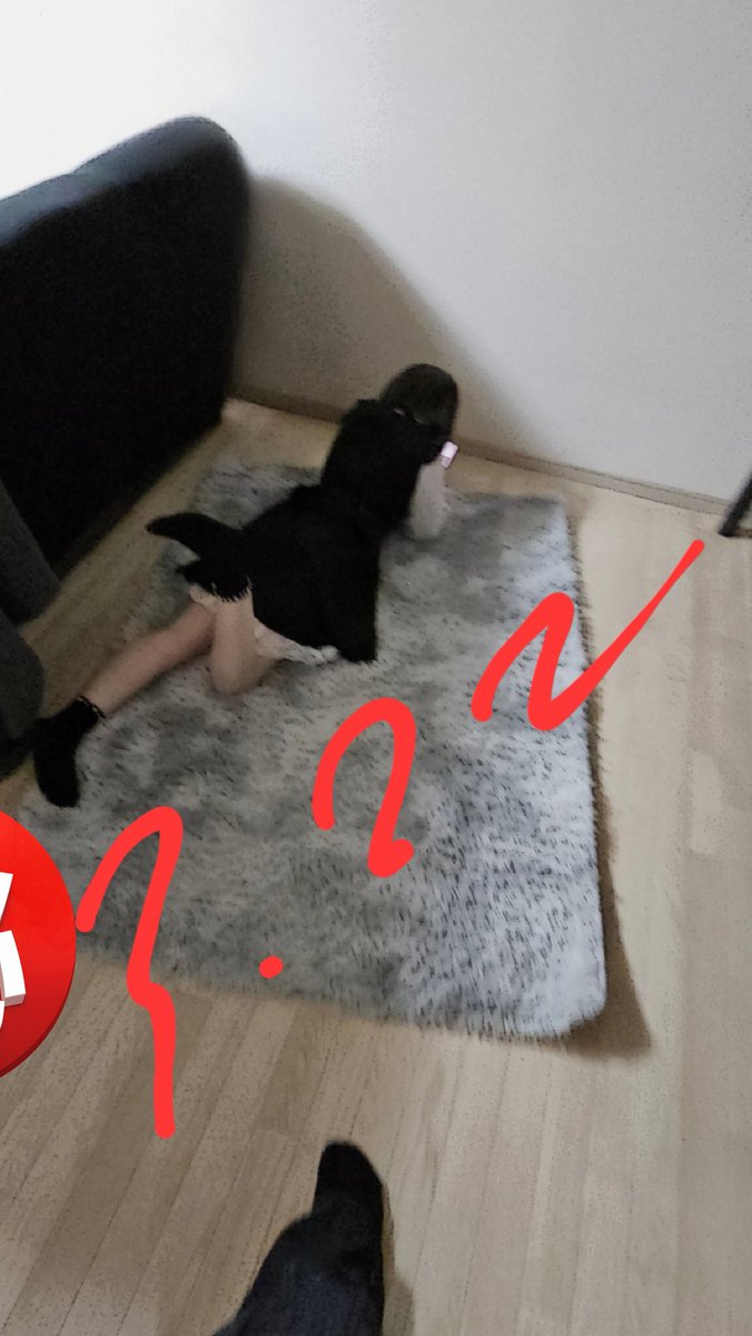 ゆきひで@ナンパ師 tweet media