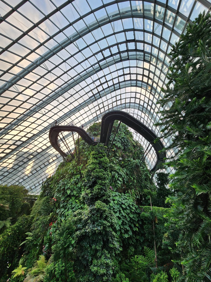 DIKmaSAGE's tweet image. #zeroedit