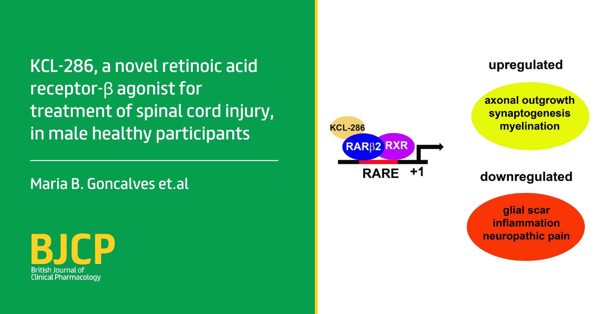 💊 'Phase 1 safety, tolerability, pharmacokinetics and pharmacodynamic results of KCL-286, a novel retinoic acid receptor-β agonist for treatment of spinal cord injury, in male healthy participants' - Maria B. Goncalves et. al 👉 bpspubs.onlinelibrary.wiley.com/doi/full/10.11… #KCL286 #SpinalInjury