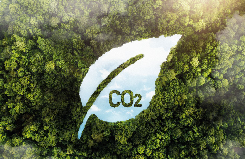 Big News! Xtreme Graphics Ltd renews Carbon Neutral status for another year, furthering our commitment to sustainability. Dive into the importance of carbon neutrality in our latest blog: bit.ly/3wRsgxW #CarbonNeutral #Sustainability #XtremeGraphics