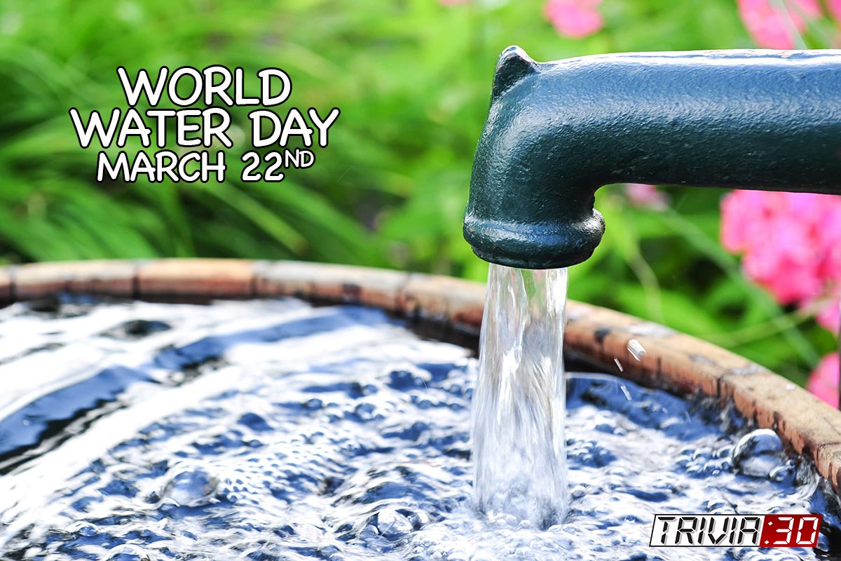 'Water is the soul of the Earth.' — W. H. Auden 💦 💦 💦
#trivia30 #wakeupyourbrain #WorldWaterDay #WHAuden #waterislife #worldwaterday2024 #globalgoals #water #waterday #savewater #cleanwater #nature #icareaboutwater #drinkingwater #foreveryone #wastewatertreatment #valuingwater