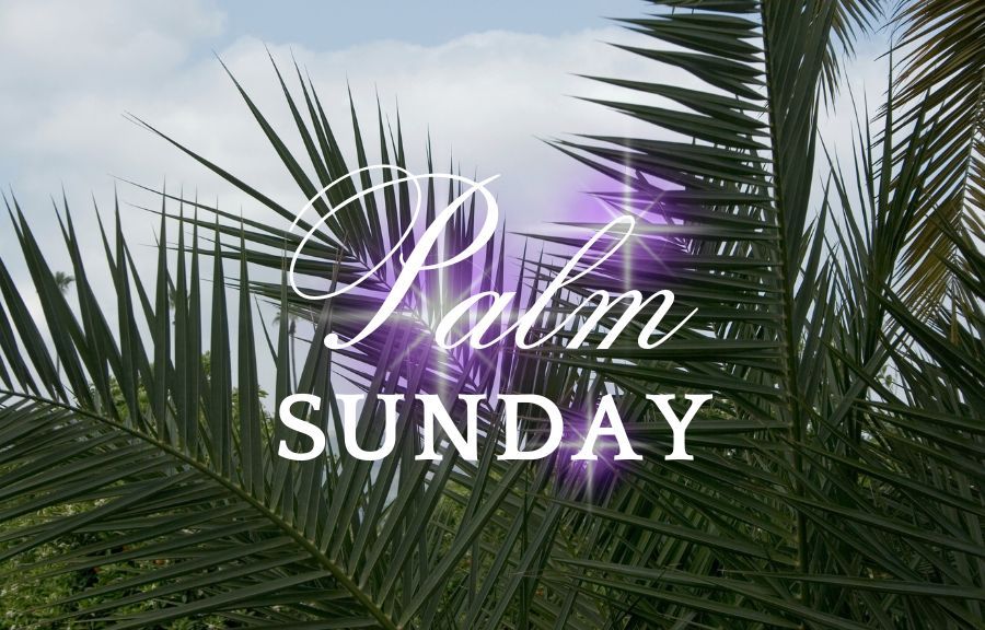 Exciting news. The King is Coming! Come and get to know the man who changed the world. He can change yours too. Join us for Palm Sunday, March 24, 2024. Connect Groups at 9AM and Worship at 10:30AM. #gabcpc #phenixcityalabama #palmsundayservice #thekingiscoming #kingjesus