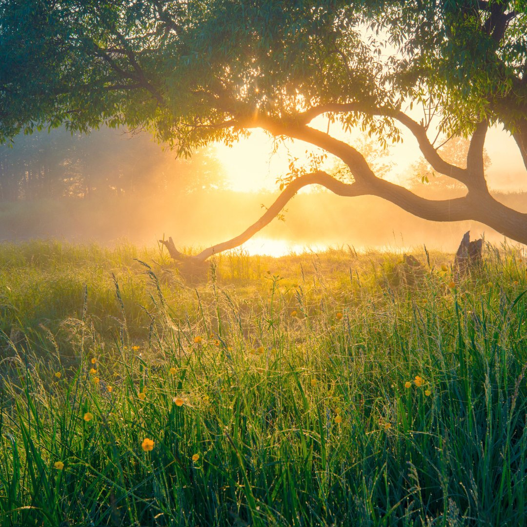 🌳From blueprint to action!

Find out more about our impact on the Local Nature Recovery Strategy in this blog from Rory Harding who examines what we are doing and why it is important.

👉kwtg.uk/lnrsblog

#MS4N #MakingSpaceForNature