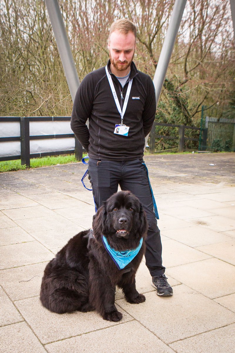 Therapy dogs This term, we have had the privilege of welcoming a whole range of therapy dogs into Notley. Essex Therapy Dogs are a charity that pair up dogs with places such as care homes, hospitals and schools to help bring smiles and relieve tension. notleyhigh.com/news/item/ther…