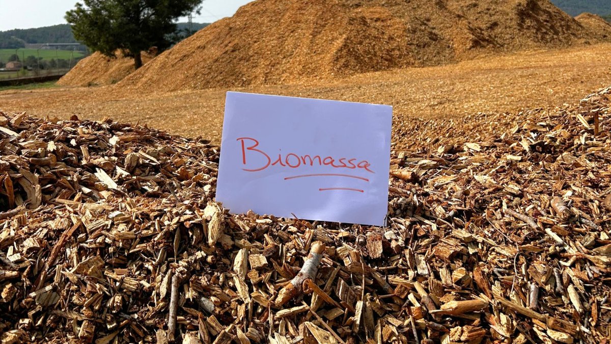 fedboscat's tweet image. ☝🏻 Seguim amb el repte 6 de l’#AgendaRuralCat: Innovació, dinamització econòmica i social.

➡️ En referència a l&apos;aspecte econòmic, a BOSCAT donem sortida a la massa forestal de les associacions, creant energia verda en forma de biomassa forestal.

#SistemaForestal #FuturCompartit