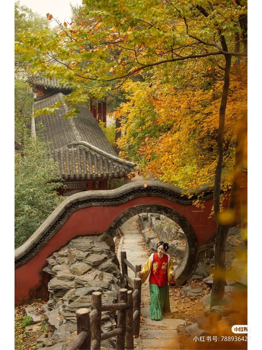 BettyQian344066's tweet image. windows and doors.
#chinesearchitecture